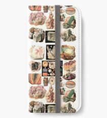 Mineralien iPhone Flip-Case/Hülle/Klebefolie