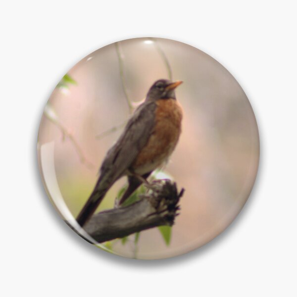 Item preview, American Robin designed and sold by Photos, and Drawings, and Hybrids!!!!! Oh my!.