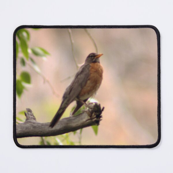 Item preview, American Robin designed and sold by Photos, and Drawings, and Hybrids!!!!! Oh my!.
