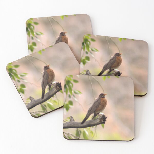 Item preview, American Robin designed and sold by Photos, and Drawings, and Hybrids!!!!! Oh my!.