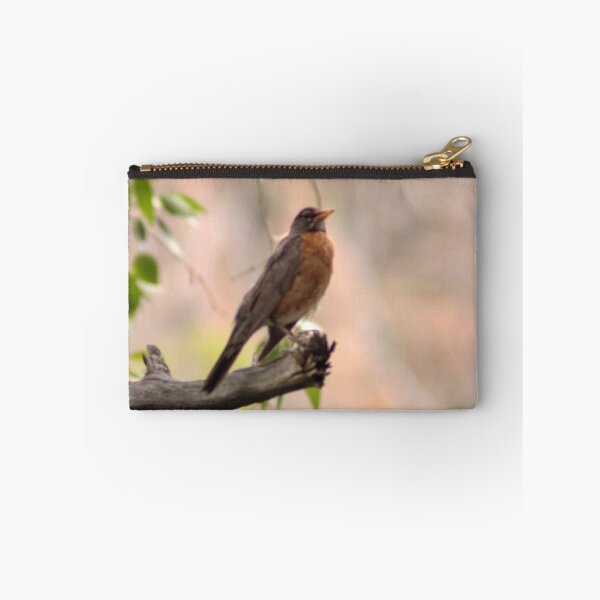 Item preview, American Robin designed and sold by Photos, and Drawings, and Hybrids!!!!! Oh my!.