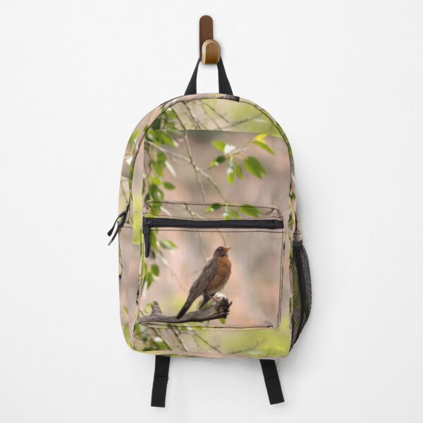 Item preview, American Robin designed and sold by Photos, and Drawings, and Hybrids!!!!! Oh my!.