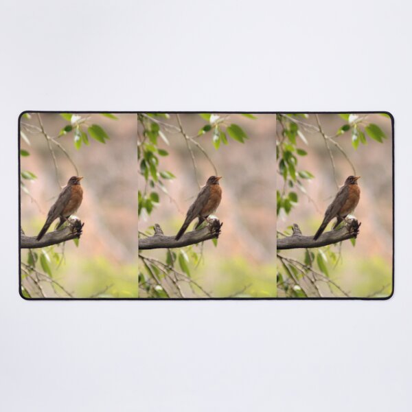 Item preview, American Robin designed and sold by Photos, and Drawings, and Hybrids!!!!! Oh my!.