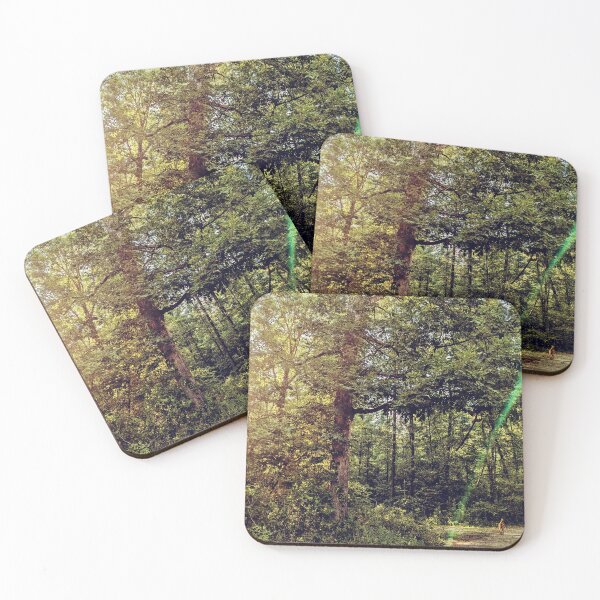 Item preview, Magical forest designed and sold by Hannahdalebraz.