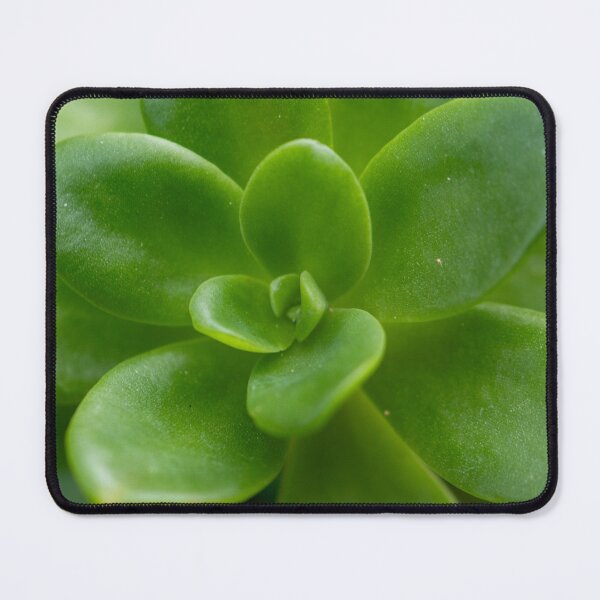 Item preview, Lush designed and sold by Jacquiamber.