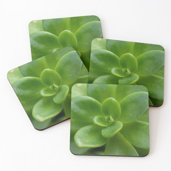 Item preview, Lush designed and sold by Jacquiamber.