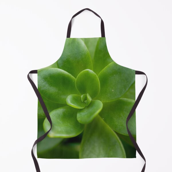 Item preview, Lush designed and sold by Jacquiamber.