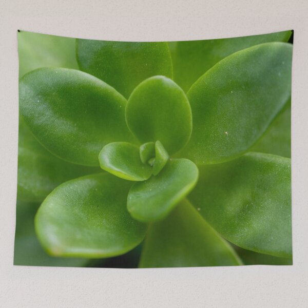 Item preview, Lush designed and sold by Jacquiamber.