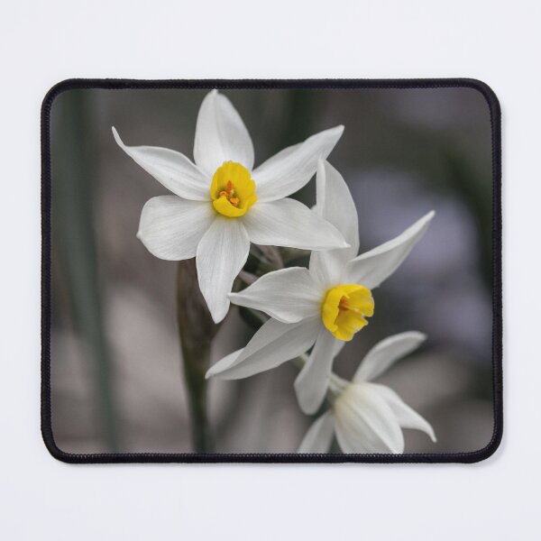 Item preview, Fortitude designed and sold by Jacquiamber.