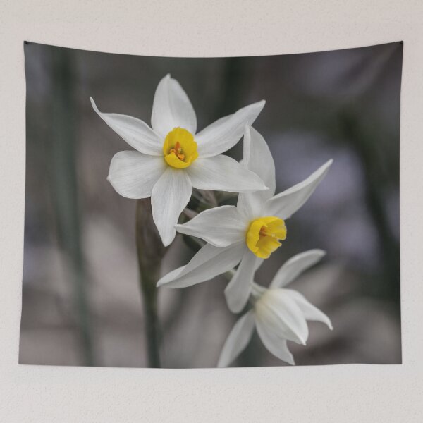 Item preview, Fortitude designed and sold by Jacquiamber.