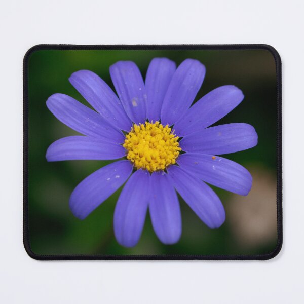 Item preview, Vitality designed and sold by Jacquiamber.