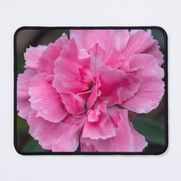Item preview, Wonder designed and sold by Jacquiamber.