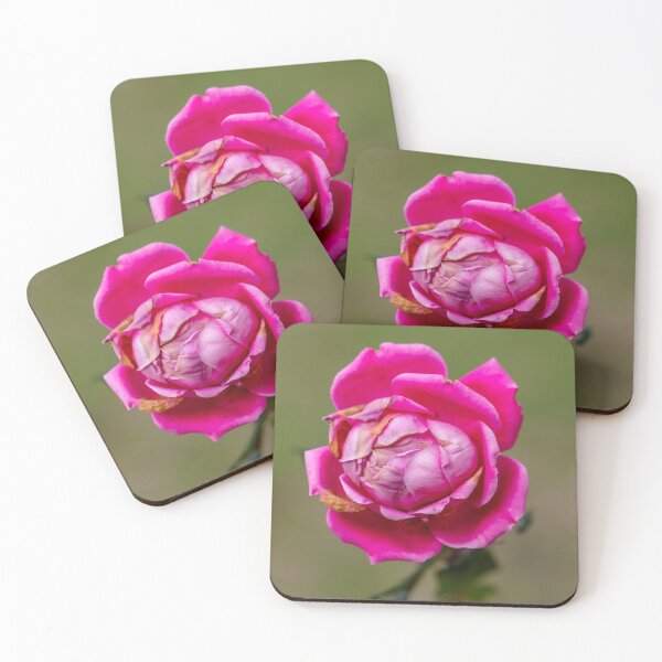 Item preview, Enduring designed and sold by Jacquiamber.