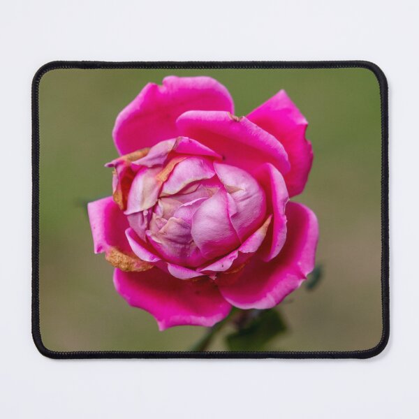 Item preview, Enduring designed and sold by Jacquiamber.