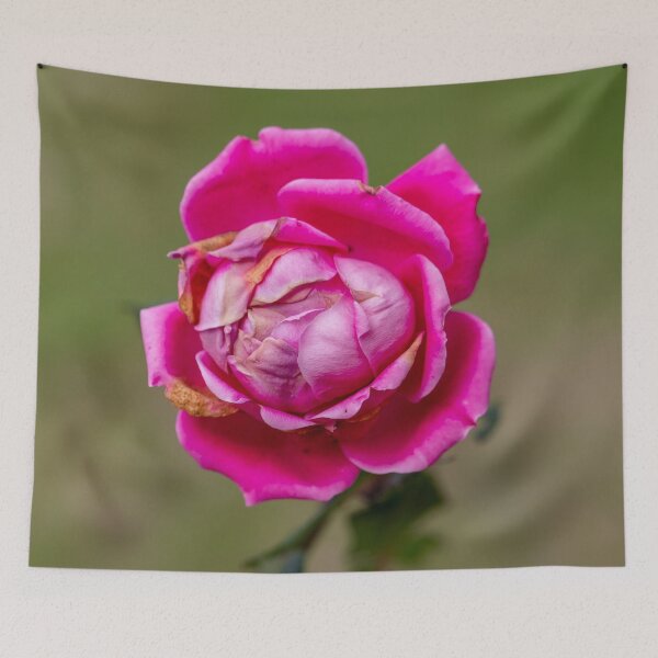Item preview, Enduring designed and sold by Jacquiamber.