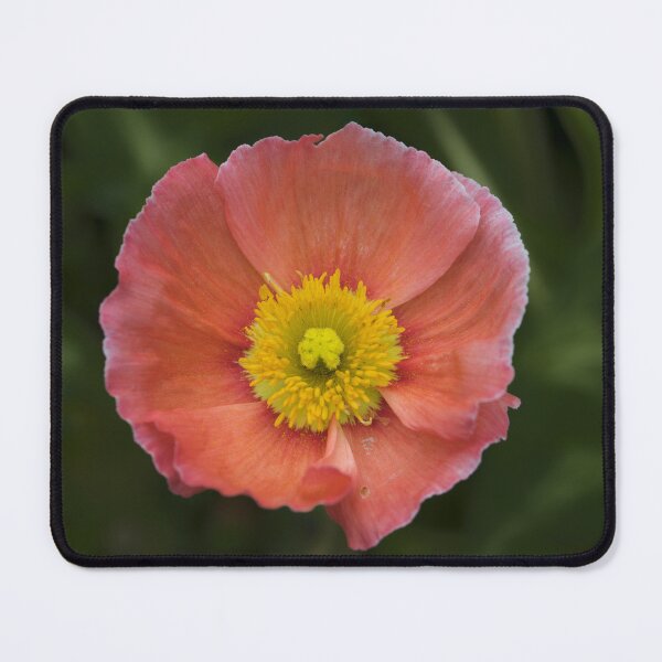 Item preview, Timeless designed and sold by Jacquiamber.