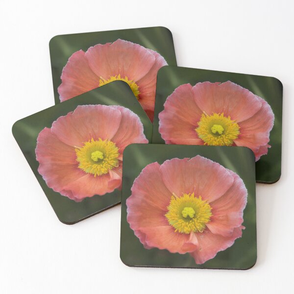 Item preview, Timeless designed and sold by Jacquiamber.