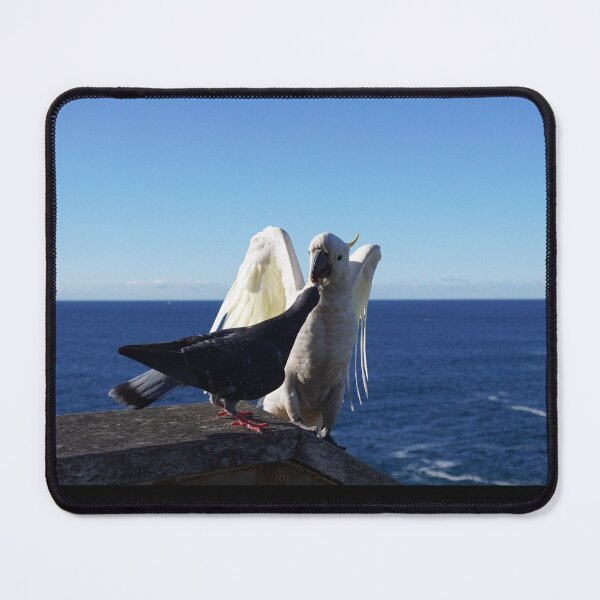 Item preview, Impudent Pigeon pulling Parrot’s Tooth designed and sold by Annalucia.