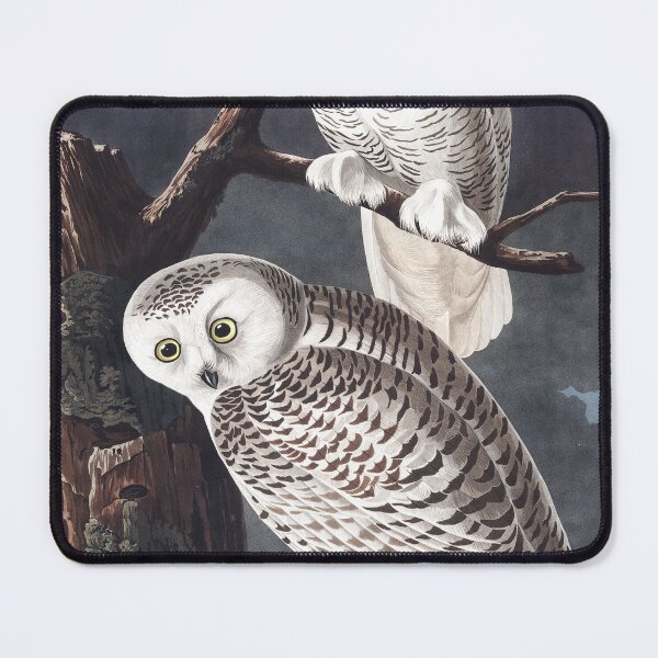 Item preview, Two snowy owls in the tree, vintage bird illustration designed and sold by Mauswohn.