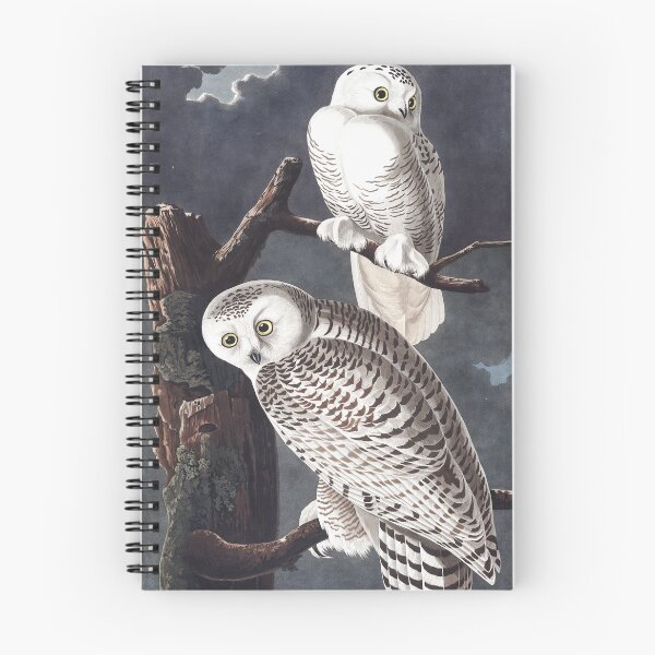 Item preview, Two snowy owls in the tree, vintage bird illustration designed and sold by Mauswohn.