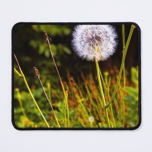 Item preview, Hello beautiful  designed and sold by Hannahdalebraz.