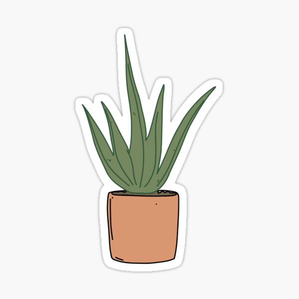 potted aloe vera plant Sticker