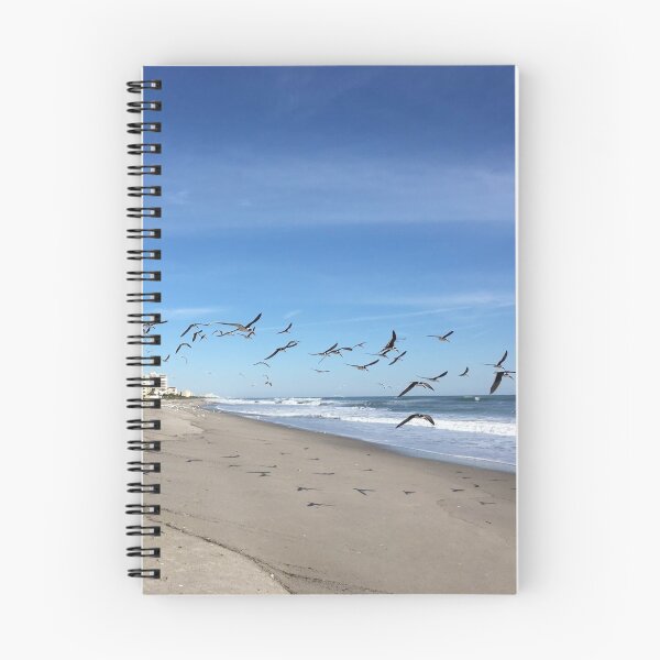 Item preview, SEAGULLS HUTCHISON ISLAND designed and sold by BridgetBresser.