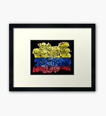 Colombia Vintage Flag Framed Print