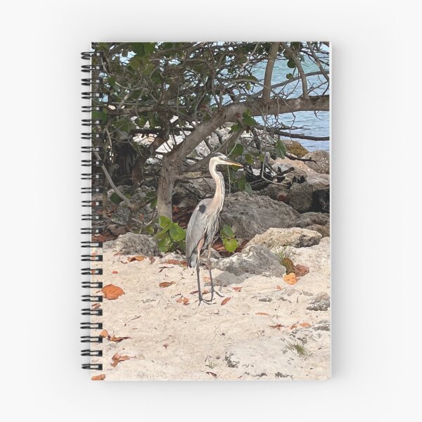 Item preview, FLORIDA BIRD SANDY designed and sold by BridgetBresser.