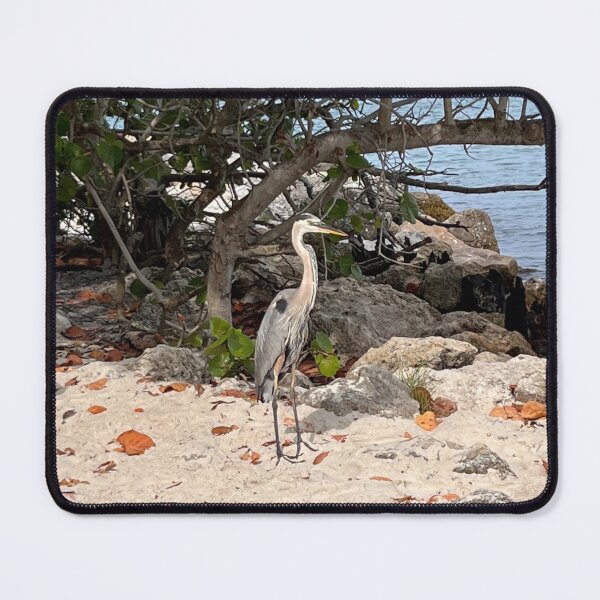 Item preview, FLORIDA BIRD SANDY designed and sold by BridgetBresser.
