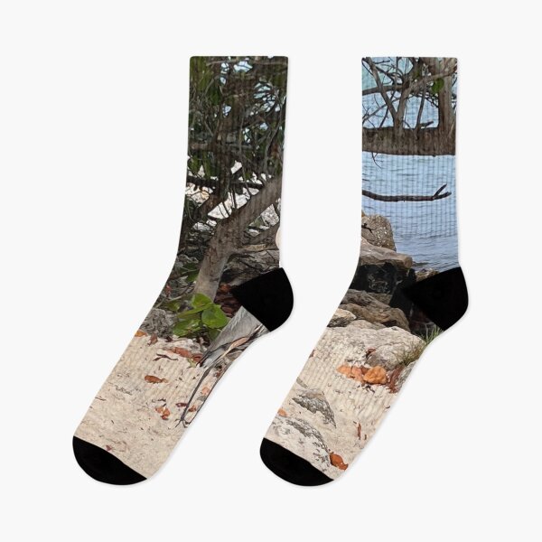 Item preview, FLORIDA BIRD SANDY designed and sold by BridgetBresser.