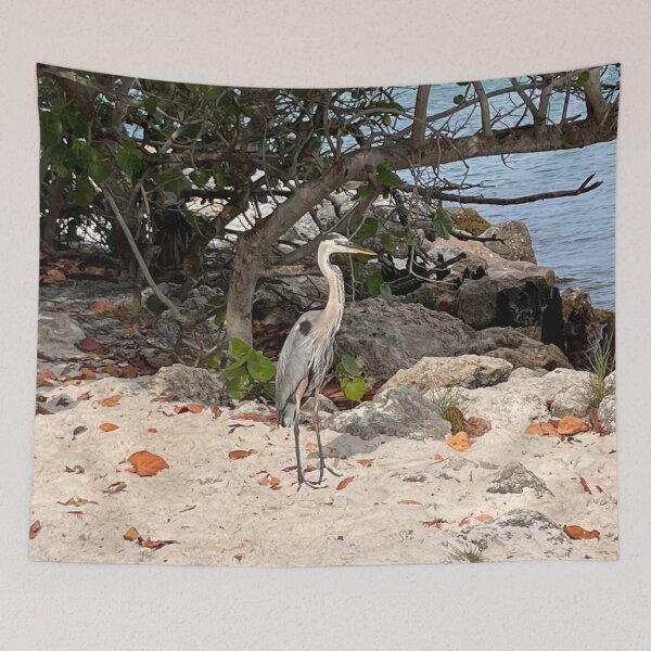 Item preview, FLORIDA BIRD SANDY designed and sold by BridgetBresser.