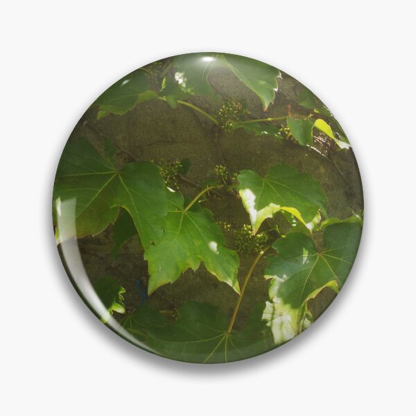 Aperçu de l'œuvre Gros plan de la tour de la vigne créée et vendue par WiseFlyDesign.