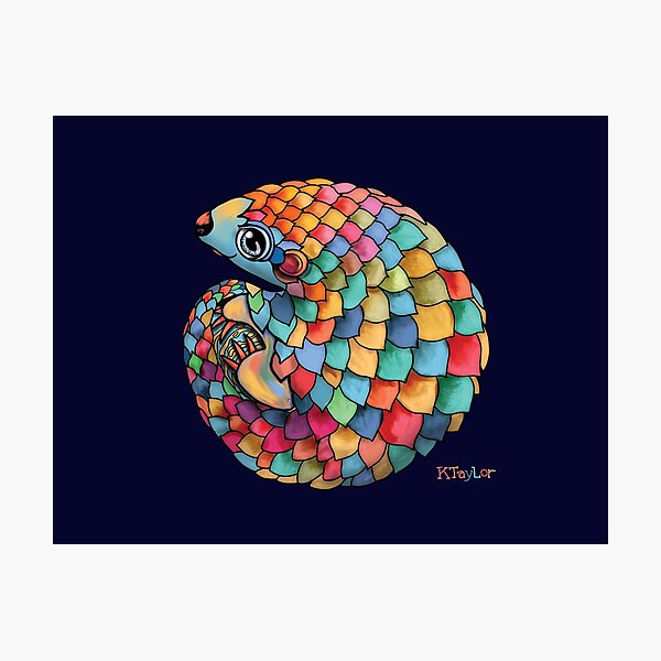Rainbow Pangolin Photographic Print