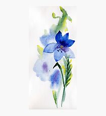 beautiful illustration of Hand Painted flower Wild Photographic Print