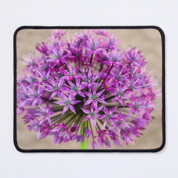 Item preview, Allium designed and sold by JEZ22.