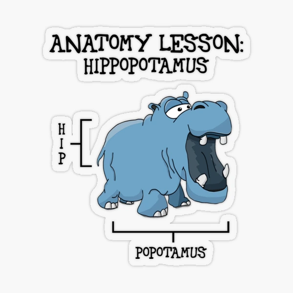 Anatomy lesson: Hippopotamus [Create a set!] Sticker for Sale by