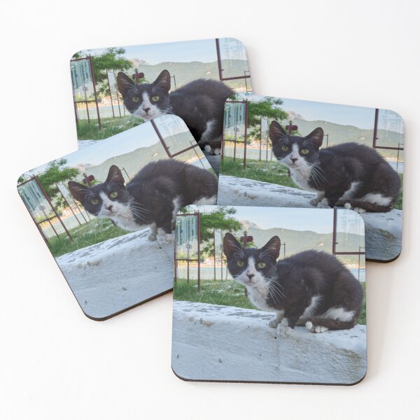 Item preview, The curious cat in the park designed and sold by Jouko Lehto Photography.