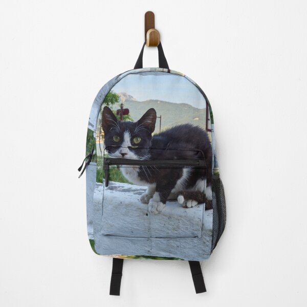 Item preview, The curious cat in the park designed and sold by Jouko Lehto Photography.