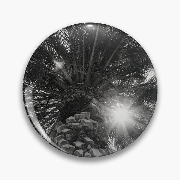 Item preview, The palm and The Sun bw designed and sold by Jouko Lehto Photography.