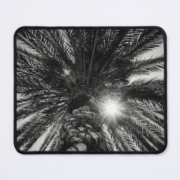 Item preview, The palm and The Sun bw designed and sold by Jouko Lehto Photography.