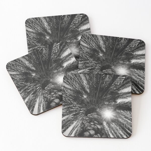 Item preview, The palm and The Sun bw designed and sold by Jouko Lehto Photography.