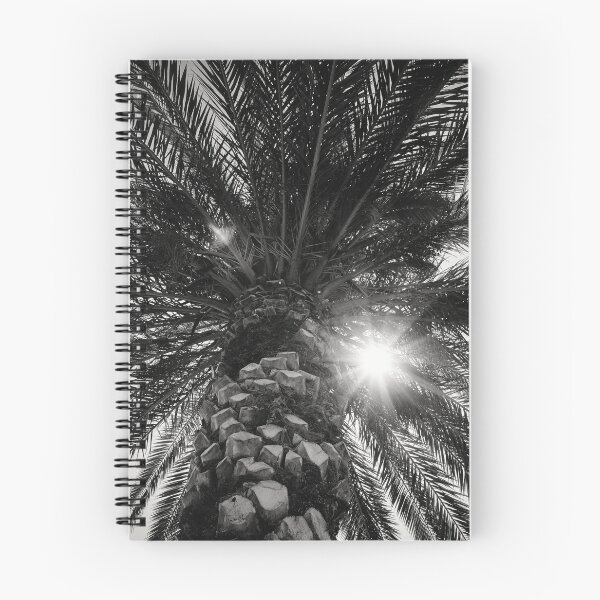 Item preview, The palm and The Sun bw designed and sold by Jouko Lehto Photography.