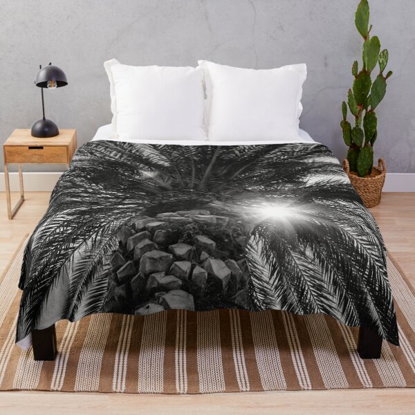 Item preview, The palm and The Sun bw designed and sold by Jouko Lehto Photography.
