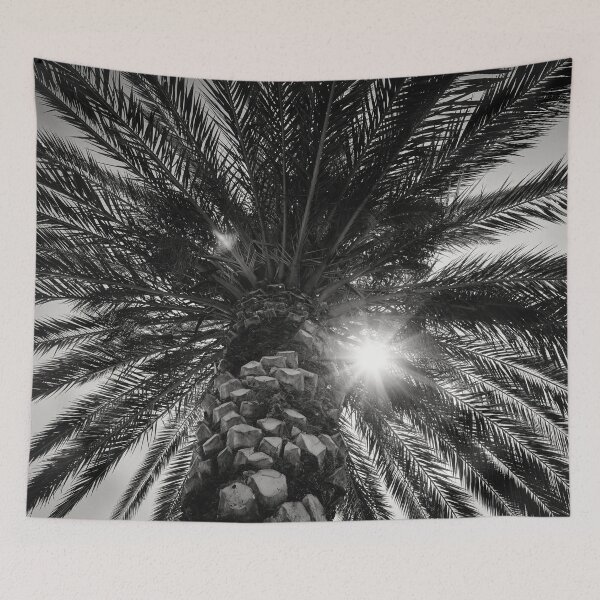 Item preview, The palm and The Sun bw designed and sold by Jouko Lehto Photography.