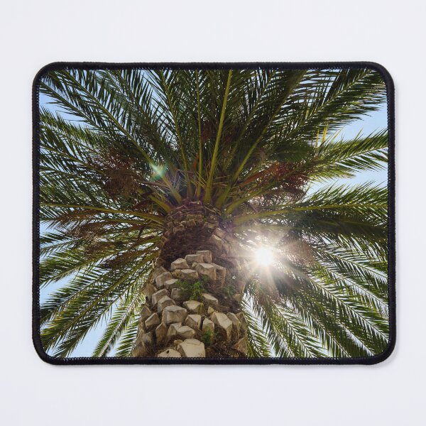 Item preview, The palm and The Sun designed and sold by Jouko Lehto Photography.