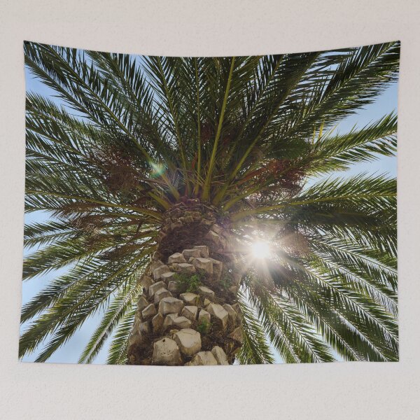 Item preview, The palm and The Sun designed and sold by Jouko Lehto Photography.