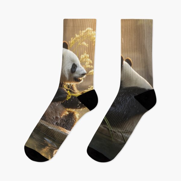 Item preview, Two pandas eating bamboo designed and sold by isBotStore.