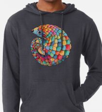 Rainbow Pangolin Lightweight Hoodie