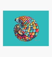 Regenbogen Pangolin Fotodruck